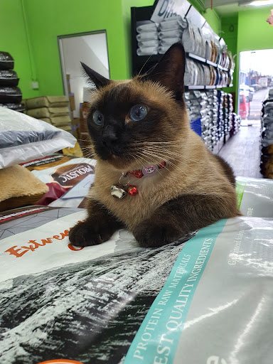 Paragon Pets Lover Malacca