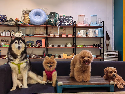 Purrfect Pets Care Melaka (Grooming/Pet Hotel/Day Care/Boarding/Pet Food/Pet Toys)