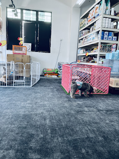 C&K PET SHOP ENTERERISE