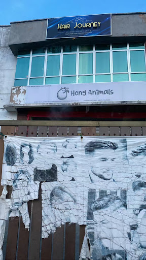 Hong Animals