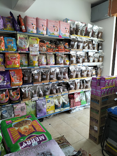 YC FAMILY ENT.- 𝙎𝙉𝙀𝙆 𝙈𝙀𝙊𝙒 𝙊 𝙋𝙐𝙍𝙍