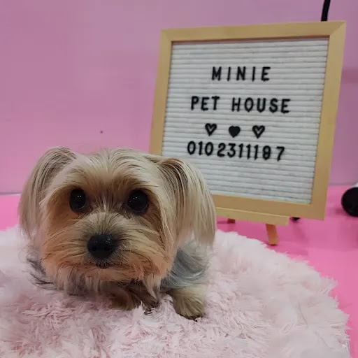 Minie Pet House