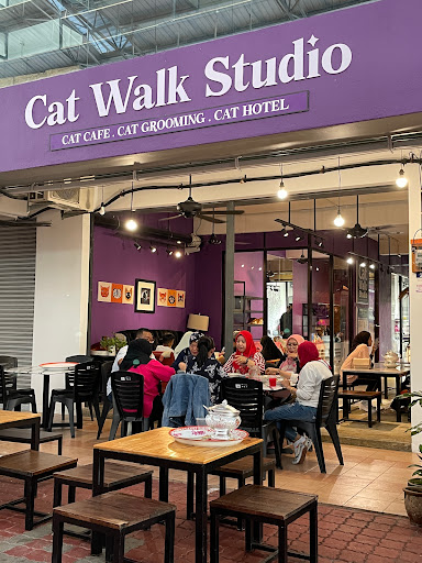 Cat Walk Studio Cat Walk Studio