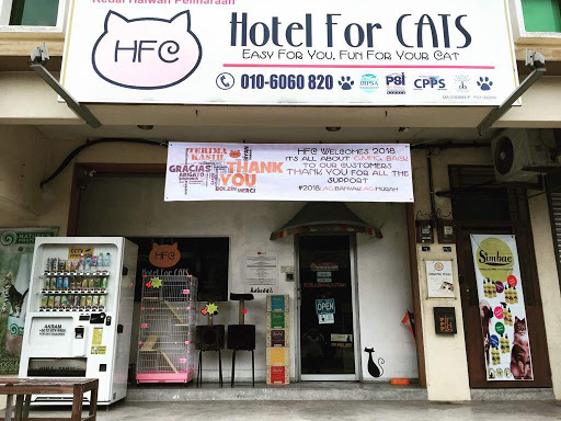 Zoola Ayer Keroh & Hotel For Cats