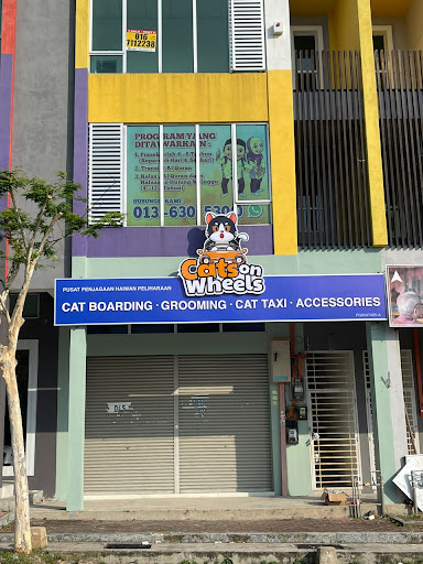Cats on Wheels - Cat Hotel & Grooming