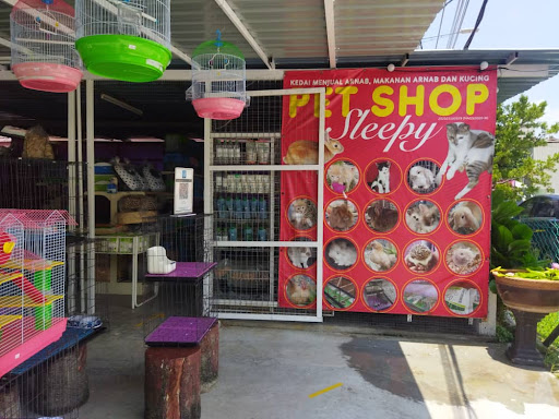 Sleepy Pet Shop and Pet hotel