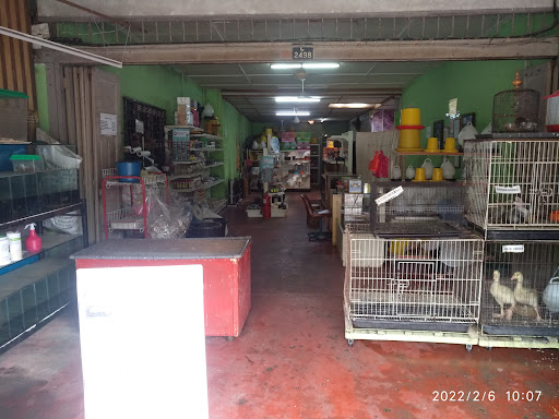 DG EMPIRE @ INQUARY ENTERPRISE