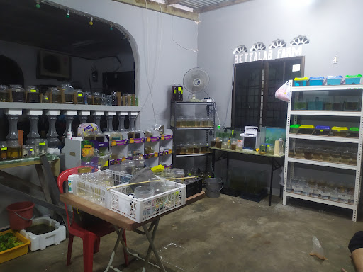 BettaLab Farm Melaka BettaLab Farm Melaka