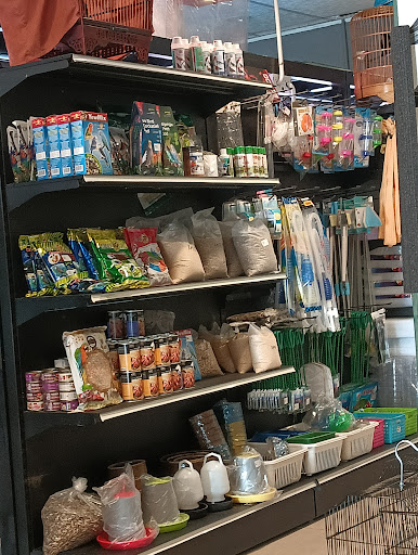 FBK Exotic Pets & Aquatics