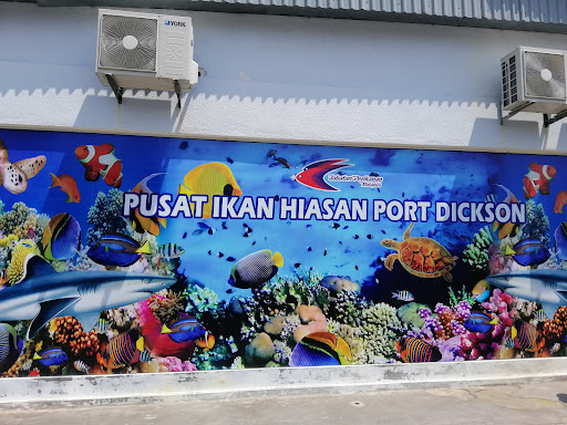 Pusat Ikan Hiasan (PIH) Port Dickson