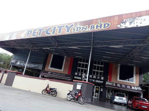 Pet City Pet City