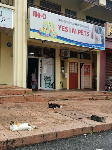 Yes I M PETS Taman Bandar Senawang