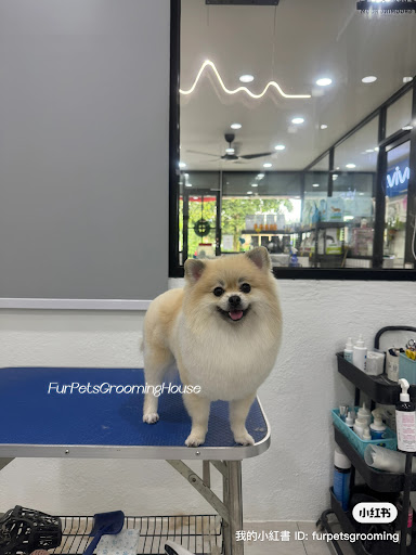 FUR PETS GROOMING HOUSE 毛小孩
