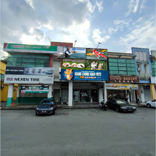 Xiang Loong Aqua Pets (Lobak) Xiang Loong Aqua Pets (Lobak)