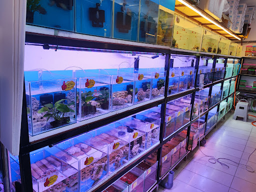 99 AQUA PET SHOP