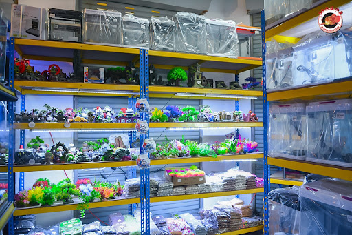 99 TROPICAL FISH IMPRESSION & PETS SDN.BHD. 99 TROPICAL FISH IMPRESSION & PETS SDN.BHD.