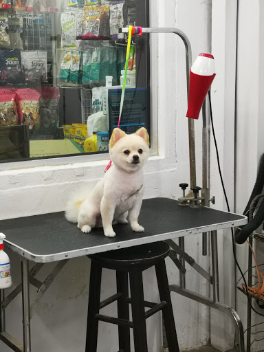 Pets Forever