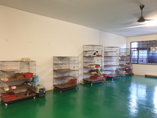 BOBOY CAT CENTRE JERANTUT