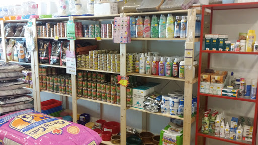 Our Happy Pets, Bukit Antarabangsa