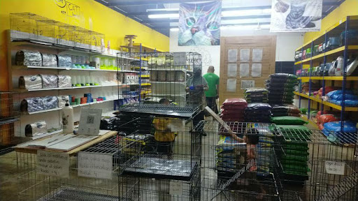 Kaki Kucing Petshop Indera Mahkota 14 Kaki Kucing Petshop Indera Mahkota 14