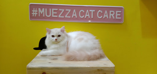 Muezza Cat Care