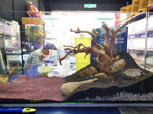 3C Aquarium and Pets 3C Aquarium and Pets