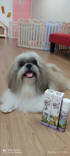 Happy Puppy Grooming Home