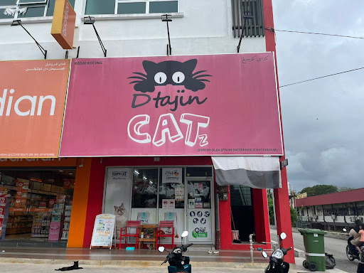 Dtajin Catz Pekan Dtajin Catz Pekan