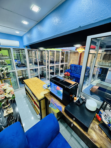 The Villa Luxury Cat Hotel