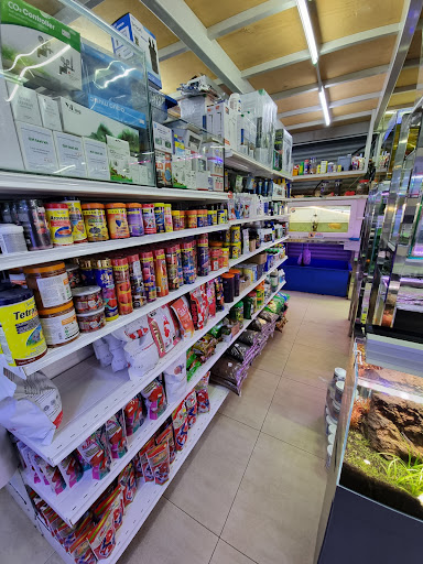 Mun Siang Aquarium & Pets Accessories (Main Branch)