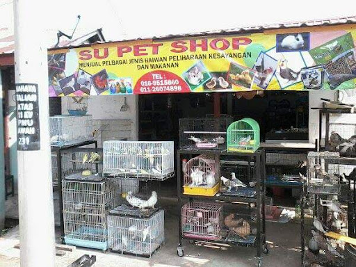 Kedai Burung Paya Pulai