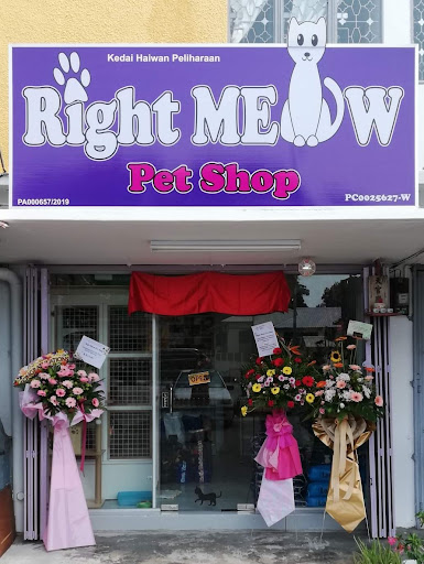 Right Meow Pet Shop