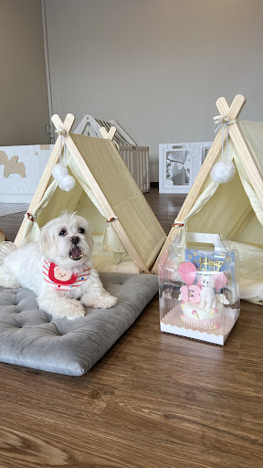 Whiskey & Bells Fluffy Snuggles Pet Hotel