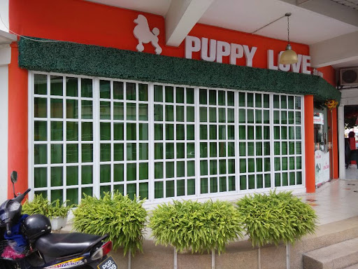 Puppy Love Saloon