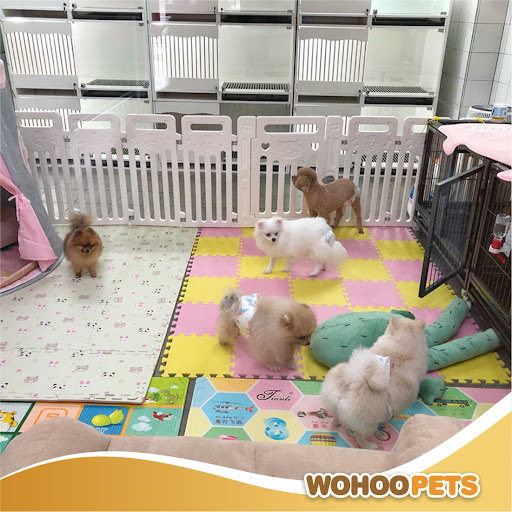 WOHOO PETS GROOMING CENTRE
