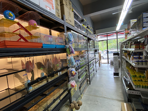 RepStore Bukit Mertajam - Exotic Pets & Reptiles Centre RepStore Bukit Mertajam - Exotic Pets & Reptiles Centre
