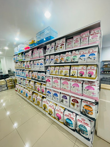 Bintang Pet Shop 宠物明星