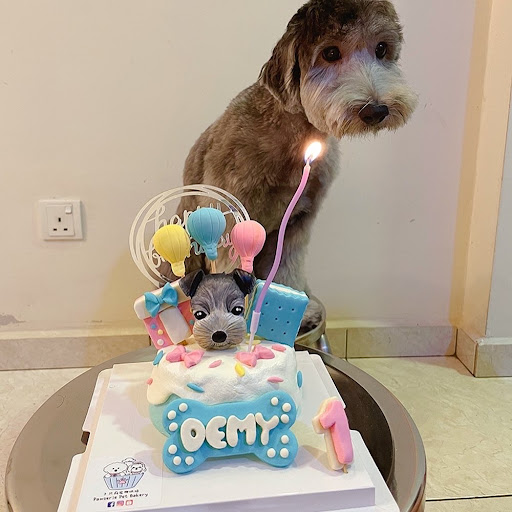 Pawserie Pet Bakery Penang Pawserie Pet Bakery Penang