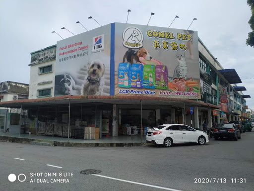 Pusat Binatang Kesayangan Comel