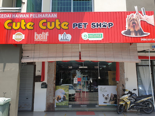 Cute Cute Pet Shop