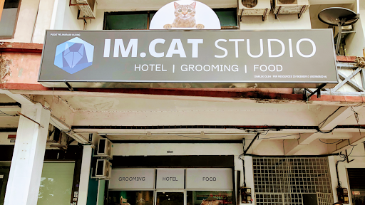 IM.Cat Studio | Cat Hotel & Grooming IM.Cat Studio | Cat Hotel & Grooming