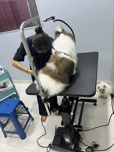 WeFur Pet House