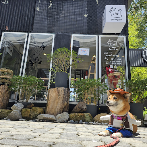 Pawslon Pet Grooming and Services Pawslon Pet Grooming and Services
