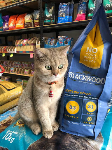 PAW WORLD FOOD PETSHOP