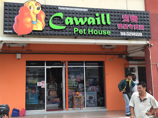 Cawaill Pet House
