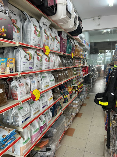 Comforts Pets Home Butterworth Comforts Pets Home Butterworth
