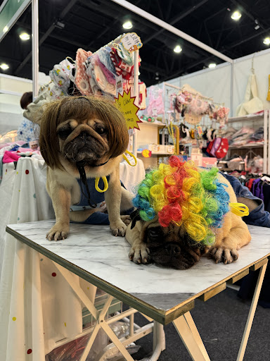 PUG PUG LOVELY PET STORE 88 幸福宠物馆 PUG PUG LOVELY PET STORE 88 幸福宠物馆