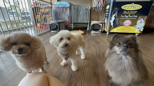 Peanut Butter Bear Petshop