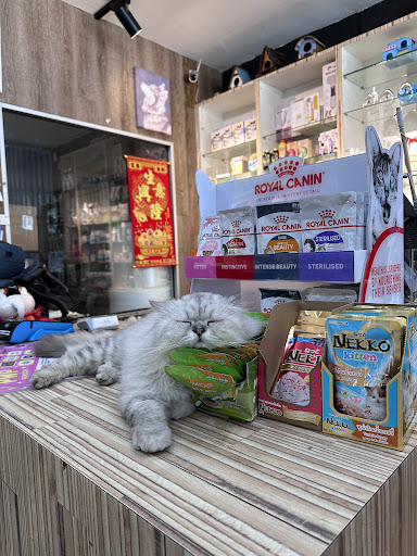Mr Pet Station Mr Pet Station