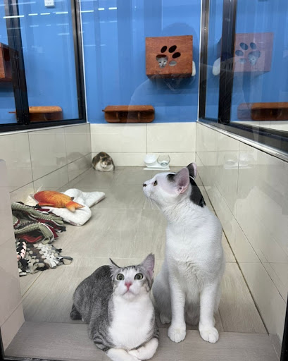 Grahati Pet House Grahati Pet House
